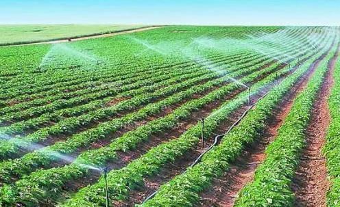 免费在线观看男女艹bb农田高 效节水灌溉